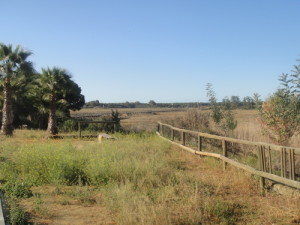 Zona de marismas en Corrales.