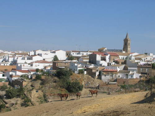 Villalba del Alcor y su Cooperativa Santa Águeda, grandes defensoras del viñedo tradicional en Doñana - Huelva Buenas Noticias