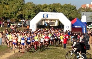 Todo preparado para la prueba atlética del domingo.