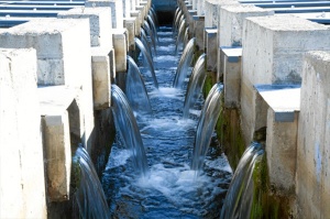 Las jornadas se hand esarrollado en la Estación de Tratamiento de Agua Potable, ETAP El Conquero. /Foto: Aguas de Huelva.