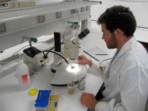 La biología y la ecología con dos de las grandes áreas de investigación del joven.