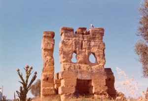 Imágenes de la torre antes de las reformas.