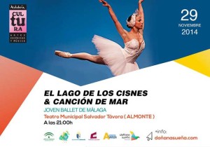 Ballet 'El lago de los cisnes'.