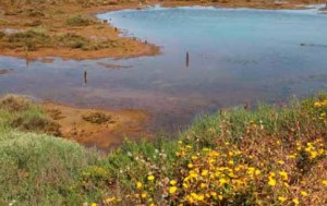 Estero de 'La Mojarra' de Ayamonte. / Foto: Guía del Patrimonio Cultural de Andalucía.