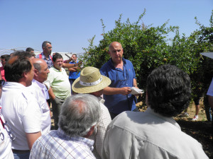 En la imagen, Agustín Ena, director técnico de IG4 explica a unos productores de Córdoba la adaptación del cultivo del granado.