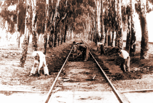 Trazado de la línea de ferrocarril que iba a la Punta del Sebo. / Foto: Autoridad Portuaria de Huelva. 