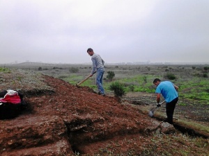 Tras el trabajo de campo, los arqueólogos se encuentran analizando los datos obtenidos.