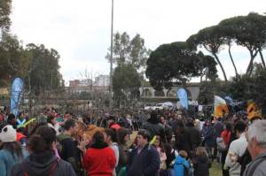 Jornada de convivencia y ocio.