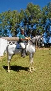 Tomás es aficionado a la hípica, aunque reconoce que siempre ha antepuesto su vida profesional a la personal.