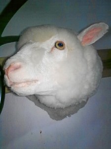 Su pasión por el mundo de la caza le llevó a dedicarse a la taxidermia.