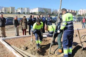 Los operarios, realizando su labor.