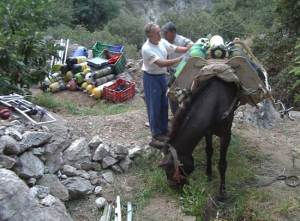 Patri nos demuestra que no hay que ponerse límites.