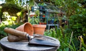 Buscan una empresa en Huelva para hacer prácticas de jardinería.