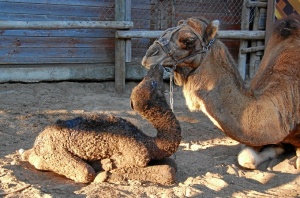 Perla junto a su madre.