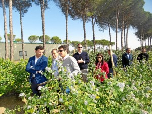 Visita a las plantaciones de Driscoll's. 