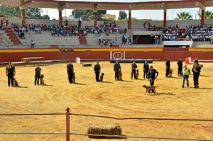 Jornadas caninas de la Policía Local de Palos de la Frontera.