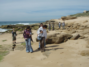 Excursion de campo de alumnos de Geologia de Huelva a la costa del Cabo de Trafalgar, donde estudian depósitos de grandes bloques rodados traídos por olas de tsunamis antiguos.