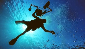 buceo