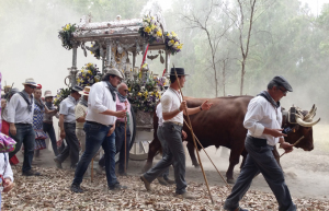 Los moguereños pronto iniciarán el camino.