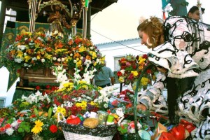 Ofrenda floral a San Isidro.