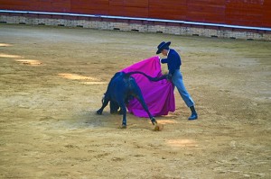 El toro indultado el domingo se llamaba Viajero.