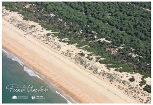 Vista de las playas de Punta Umbría.