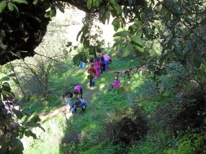 Clausurada la campaña de Educación Ambiental en el Parque Moret con la participación de más de 3.000 niños.