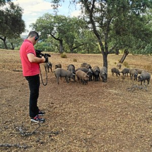 Comando Actualidad graba un reportaje sobre la Ruta del Jabugo.