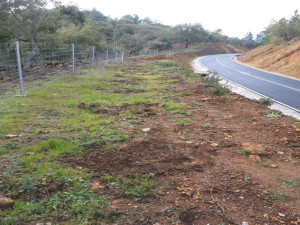 Carretera de Los Romeros.