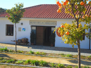 Museo de la Cabalgata de Higuera. / Foto: Ayuntamiento de Higuera de la Sierra.