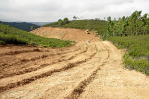 trabajos fincas