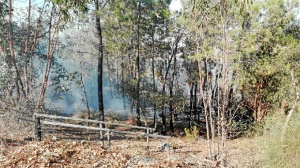 El incendio que se produjo en las inmediaciones de la Hacienda San Miguel, en El Rompido, quedó sofocado en menos de una hora.   