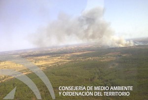 Imagen del incendio forestal en Beas.