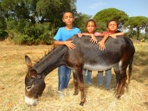 Los niños aman a los burros bombero.