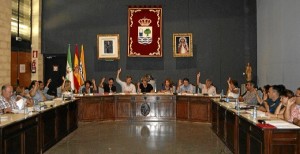 Durante la sesión plenario se aprobaron cuestiones de carácter organizativo y de funcionamiento.