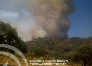 Una imagen del incendio. / Foto: Plan Infoca.