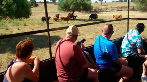 Turistas, visitando la ruta.