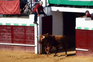 Magnífica terna de Millares. / Foto: Sergio Borrero.