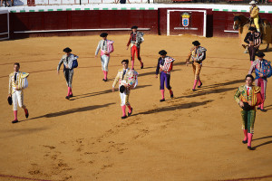 Toros en Valverde. / Foto: Sergio Borrero.