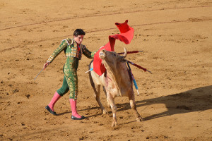 Una faena de Borja Álvarez. / Foto: Sergio Borrero.