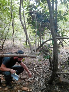 Estudió Forestal por su deseo de contribuir al mantenimiento de la naturaleza.