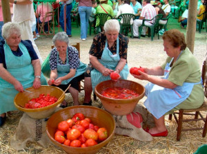 Matanza vegetal de Calabazares. / Foto: juntadeandalucia.es.