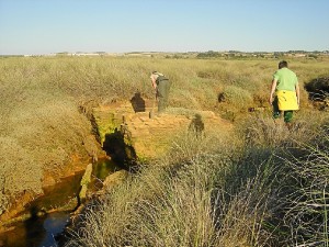 El medio húmedo continúa en la identidad de San Juan, por lo que aboga por su conservación.