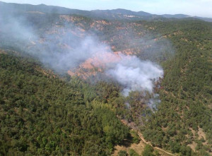 Incendio declarado en Valdelarco.