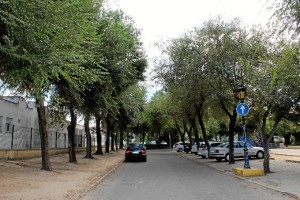 Se han aprobado cambios de algunos nombres de calles y también los de nuevas vías urbanas ya abiertas.