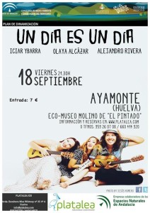 Cartel del concierto.