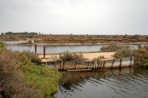 Isla de Bacuta.