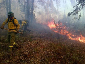 Incendio en Zalamea la real. / Foto: Infoca.