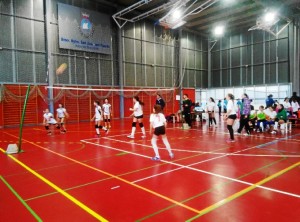 En las jornadas se enseñarán nuevos métodos de iniciación al voleibol.