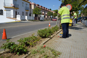 Refuerzo de zonas ajardinadas.